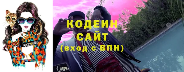 гашик Аркадак