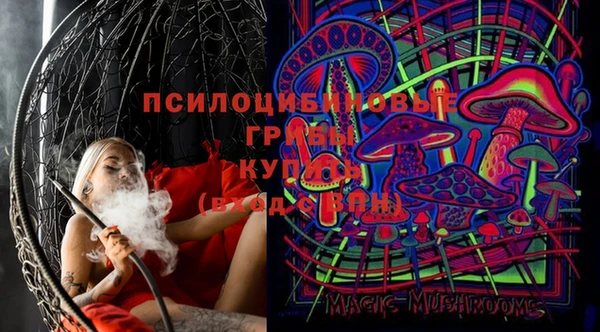 гашик Аркадак