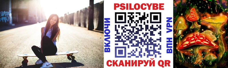 Купить закладки  Биробиджан  Галлюциногенные грибы Psilocybe 